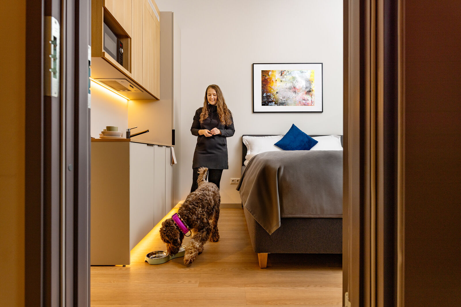 Hund entspannt in einem Hessnery-Zimmer — haustierfreundliches Hotel